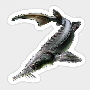 Sturgeon Sticker